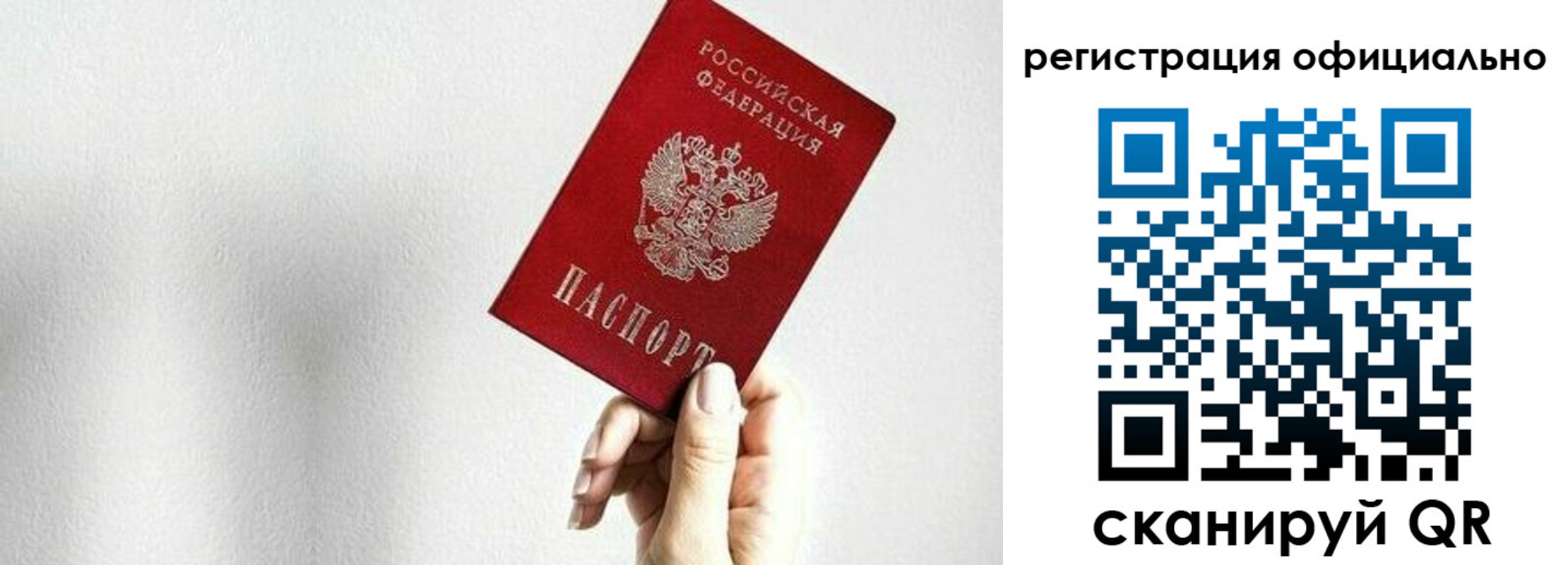прописка поиск в Александровске
